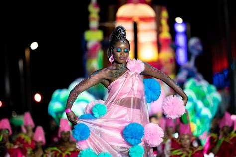 Cape Town Carnival Chaos Featuring Charl Theron! An Immersive Celebration of South African Culture